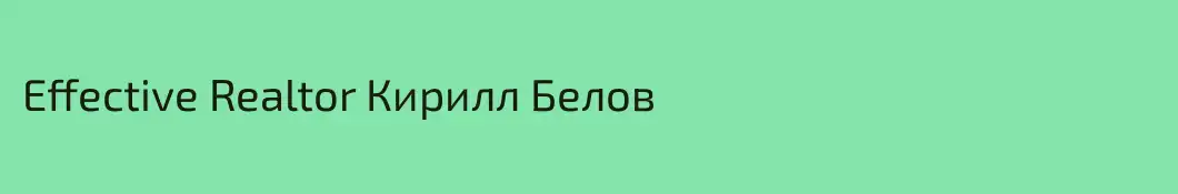 Effective Realtor Кирилл Белов